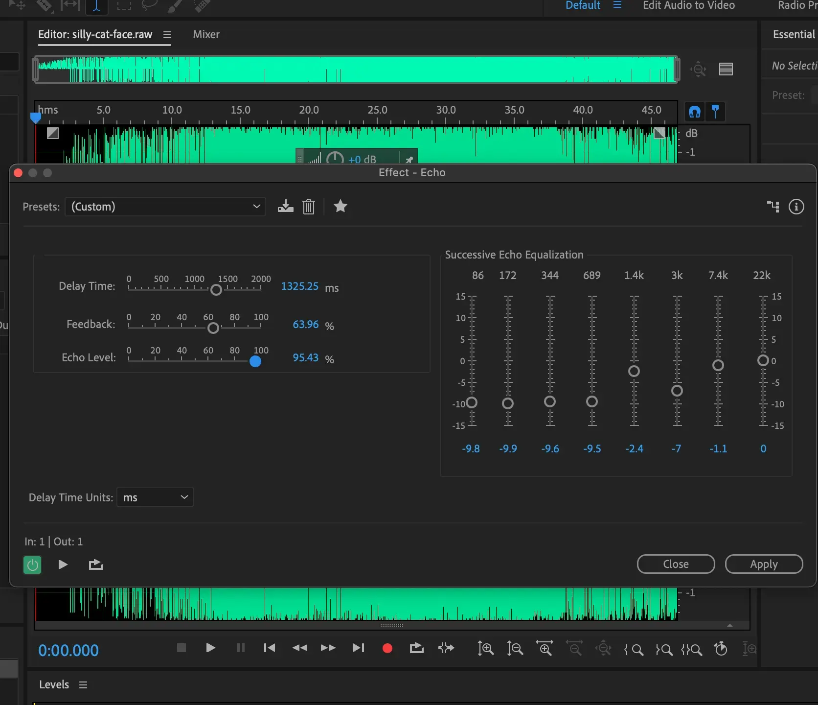 Use the transform menu to add an echo